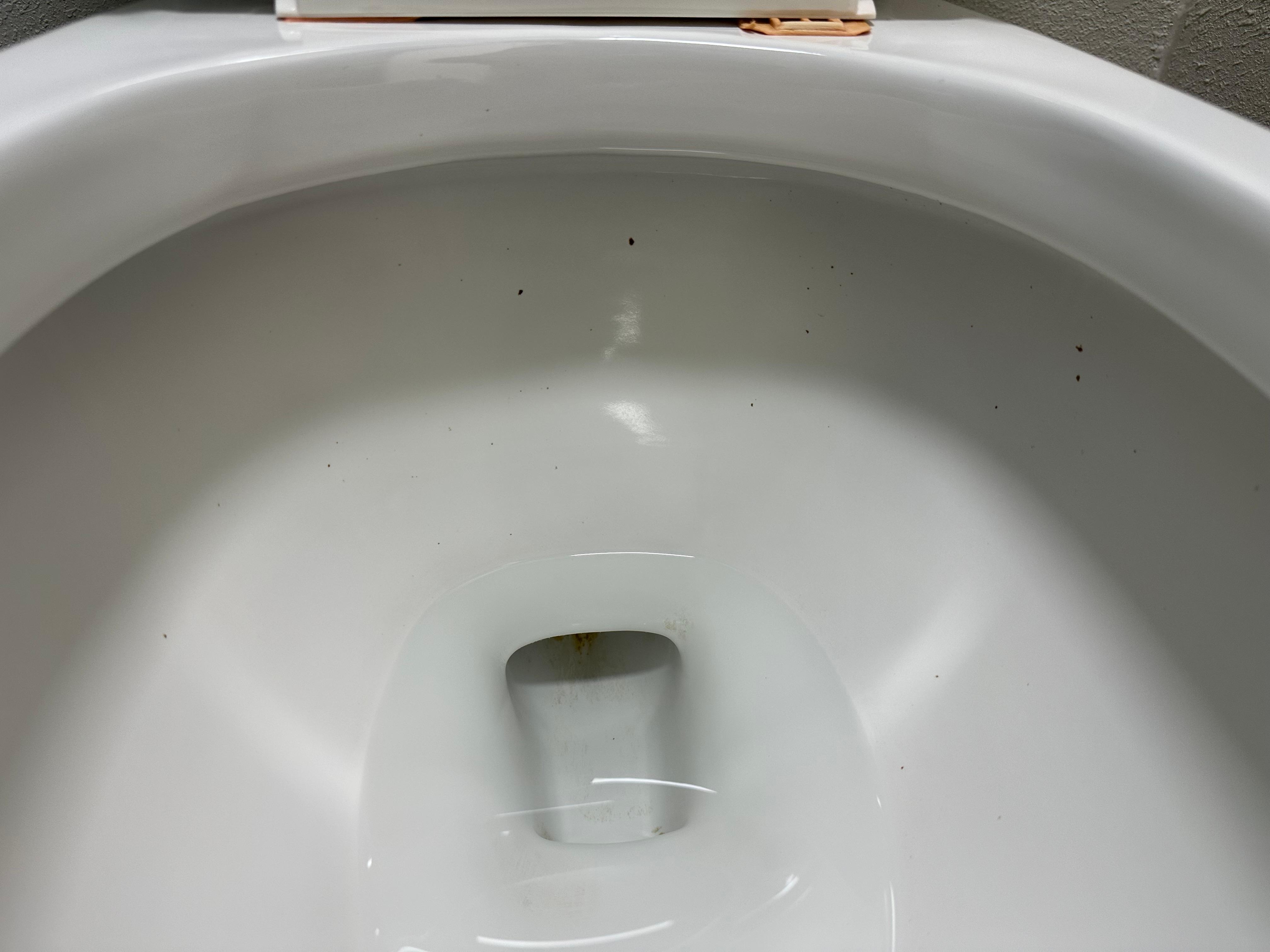 Dirty toilet