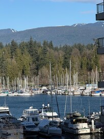 Beautiful marina shot