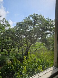 The view from the porch