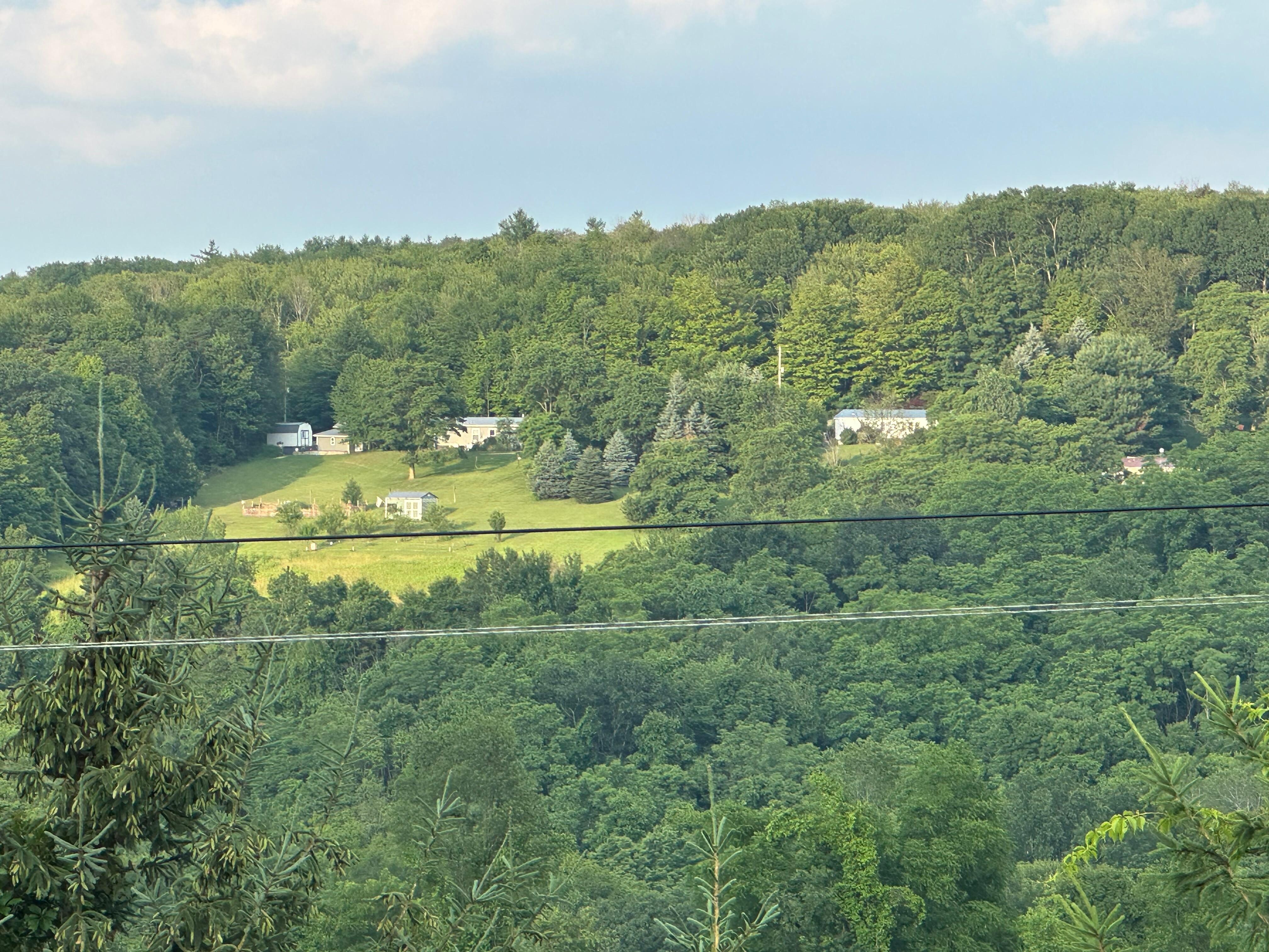 View of the hillside from balcony