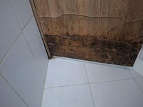 Puerta de baño podrida y con hongos.