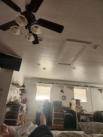 This is what I woke up to at 7am. These windows need blinds or curtains that block light.