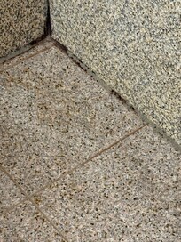 Mold in shower.
