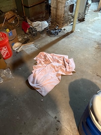 Basement + cabinets were gross