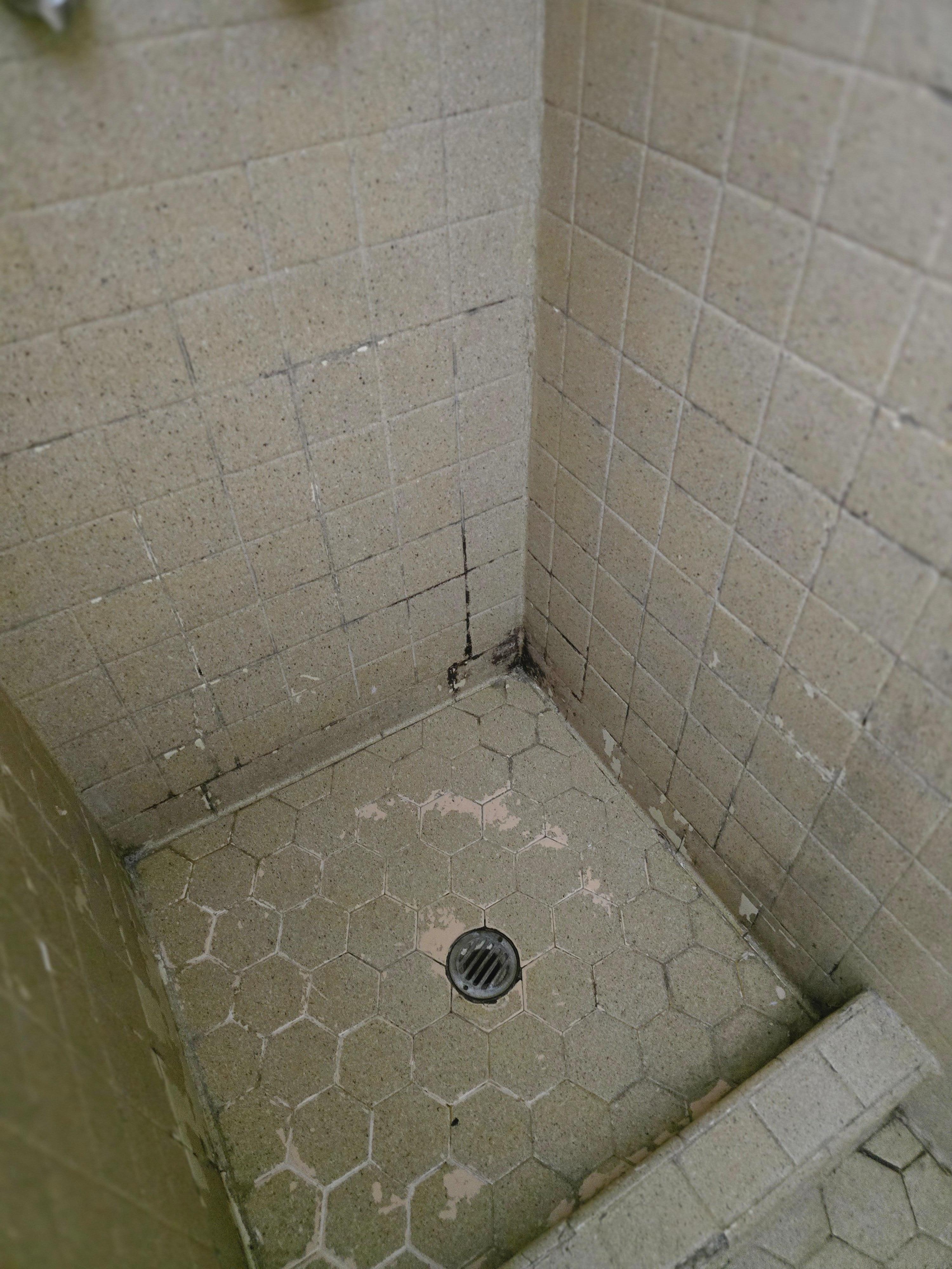 Broken tiles mold and smelled 