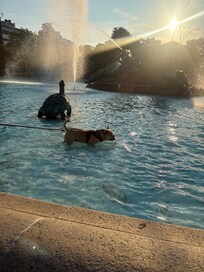 Beautiful fountain/park right across the street from the hotel