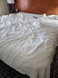 Blonde hair in the bed