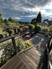 View from the backyard
