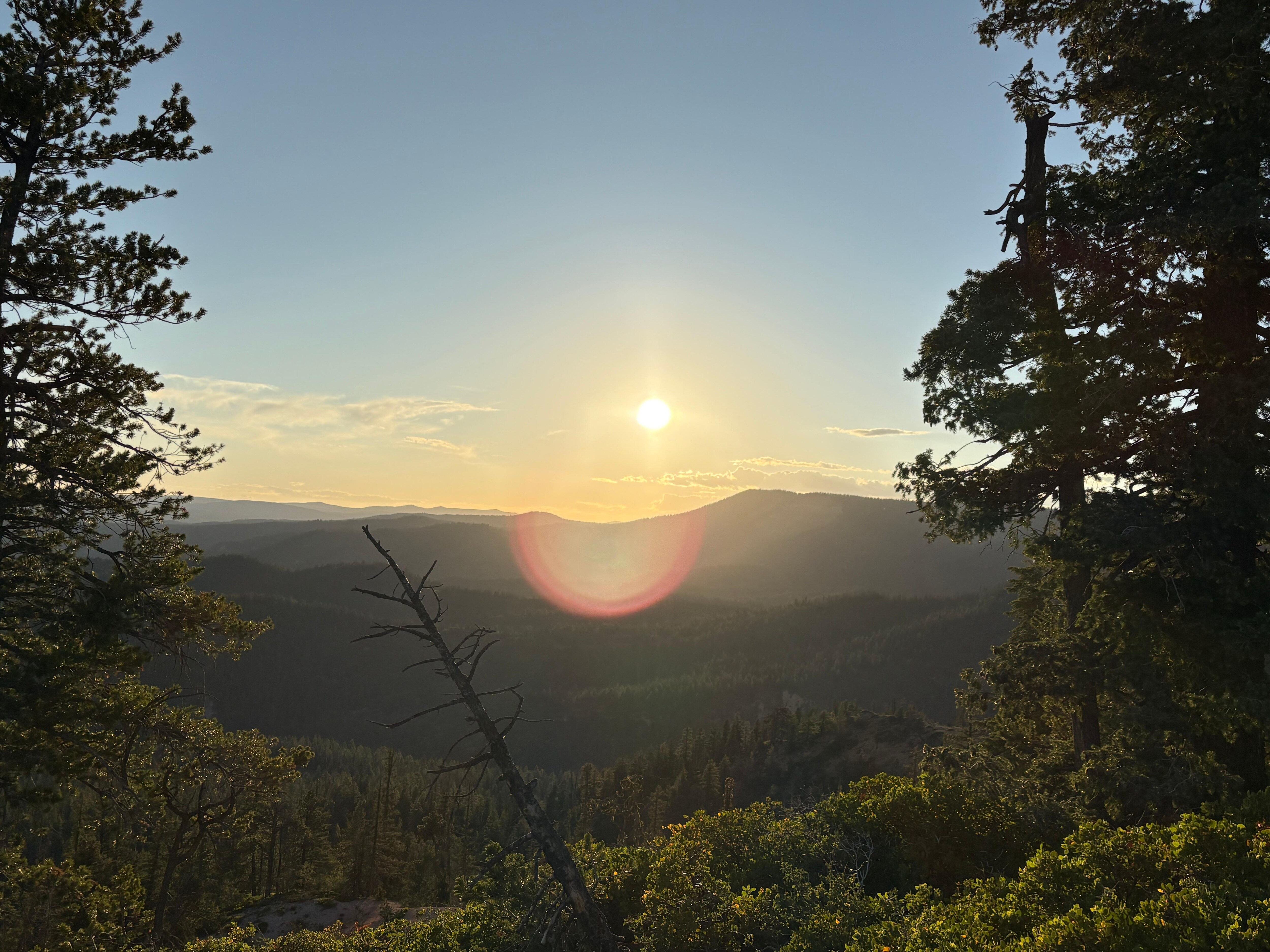 View from a local trail