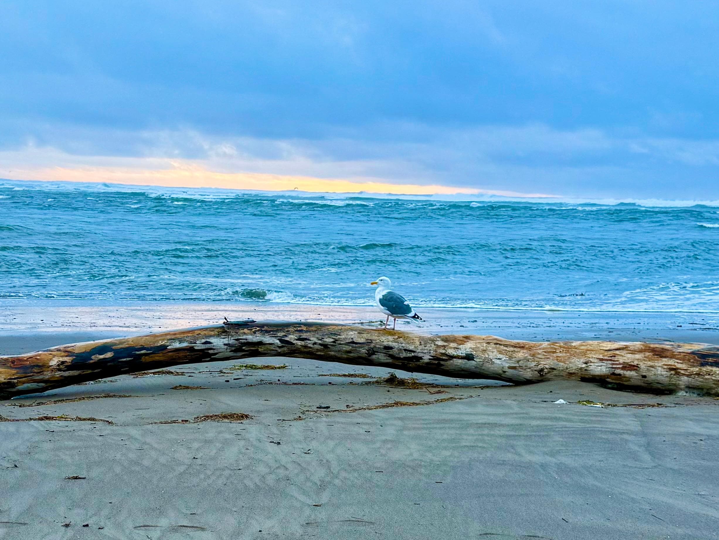 Walking the bay is our favorite thing to do in Taft.