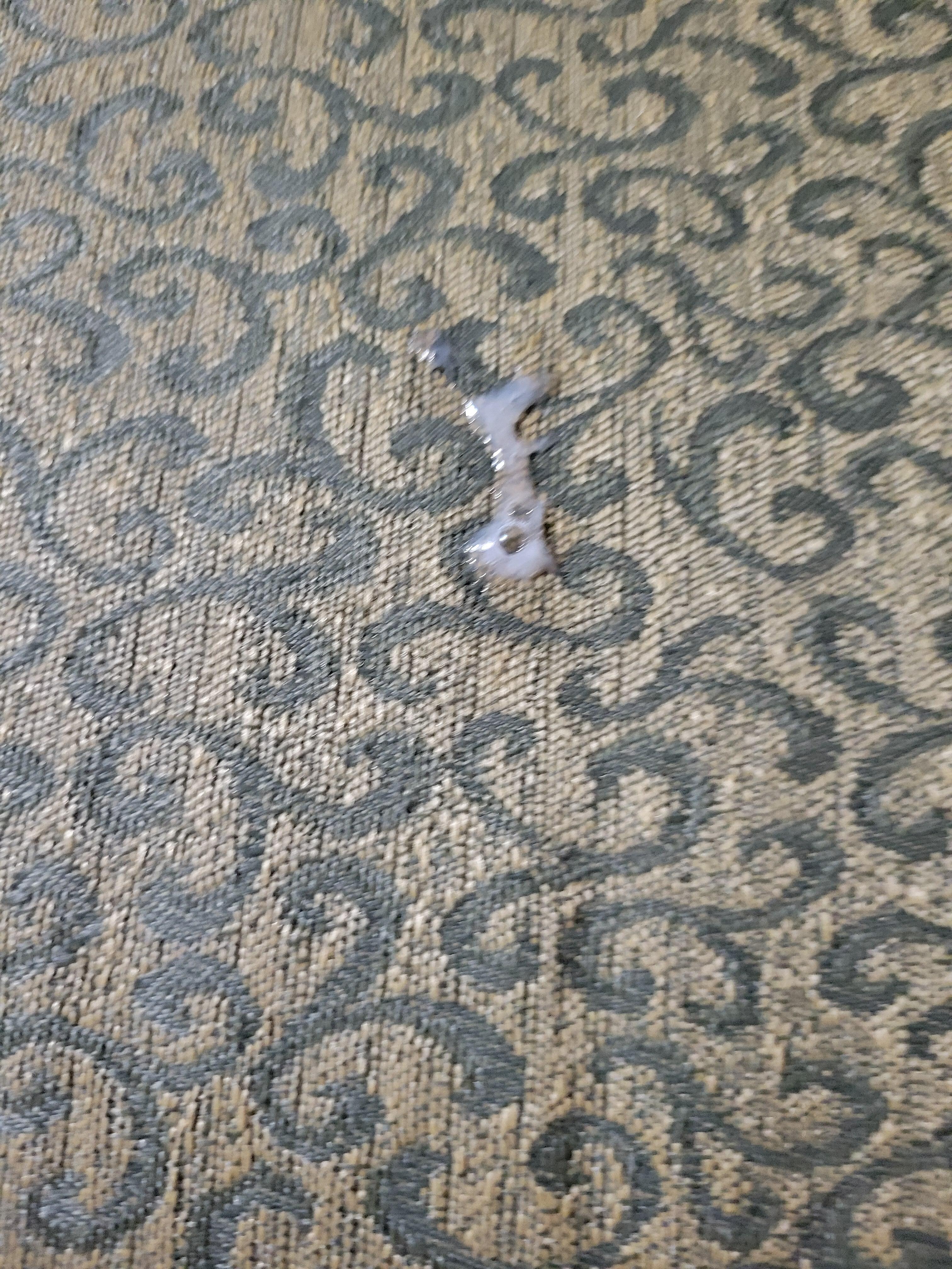 semen center of chair