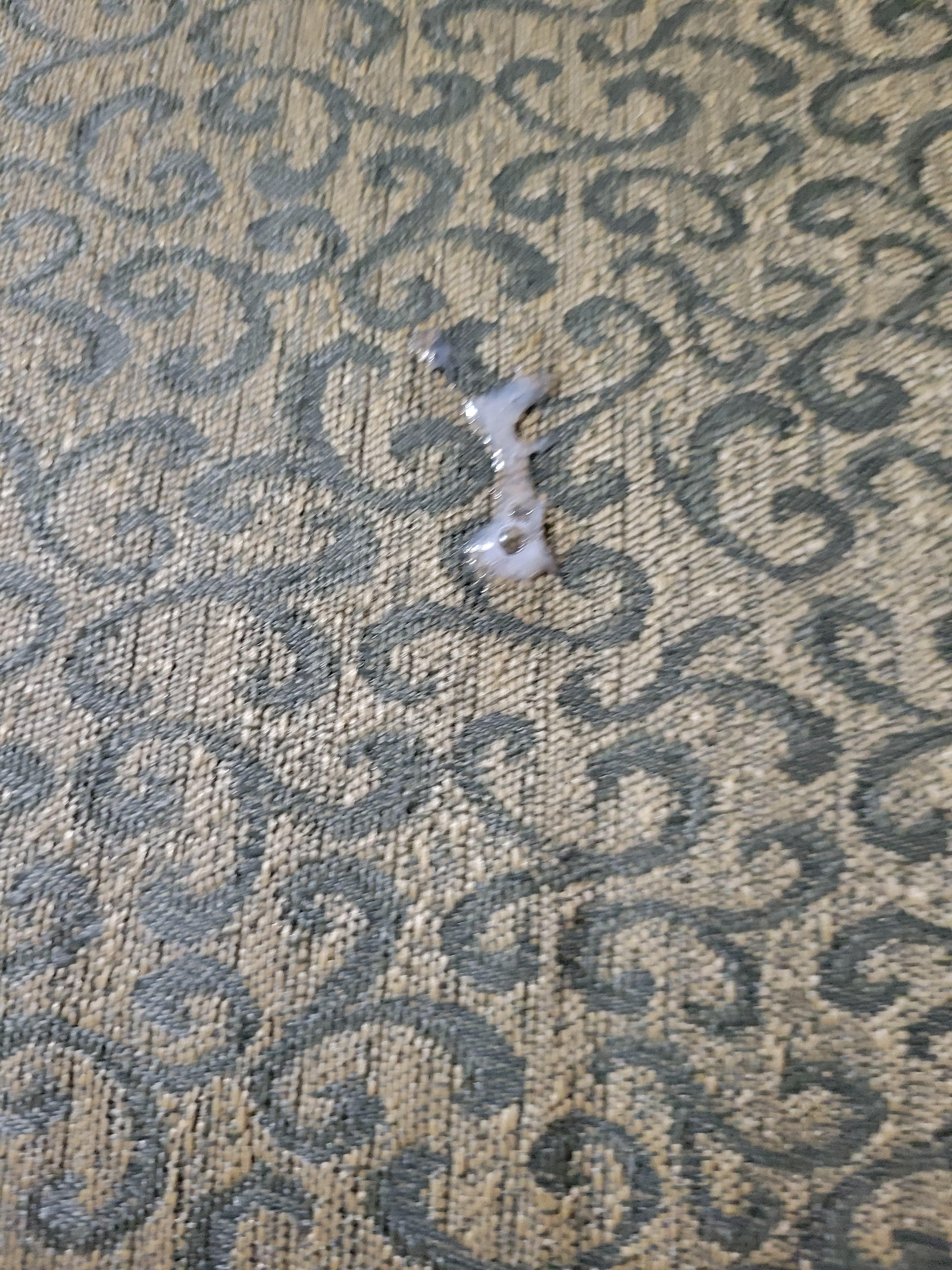 semen center of chair