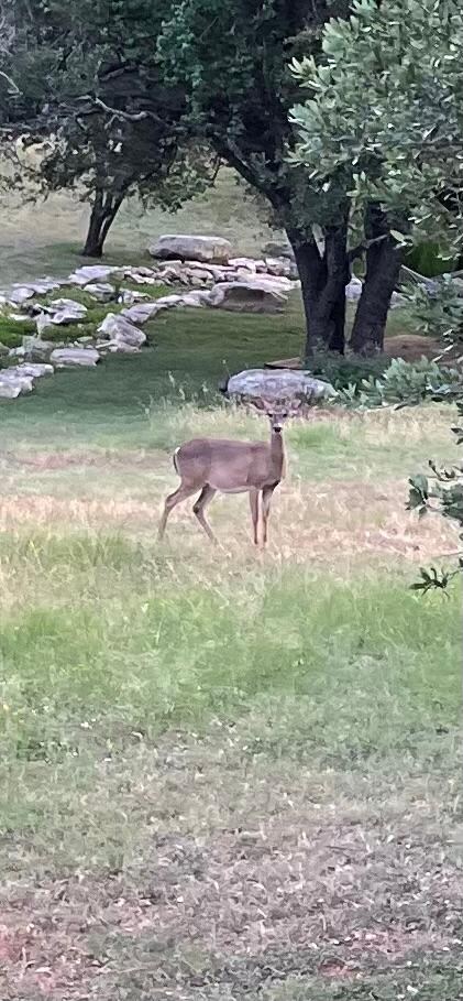 Right next to our deck.