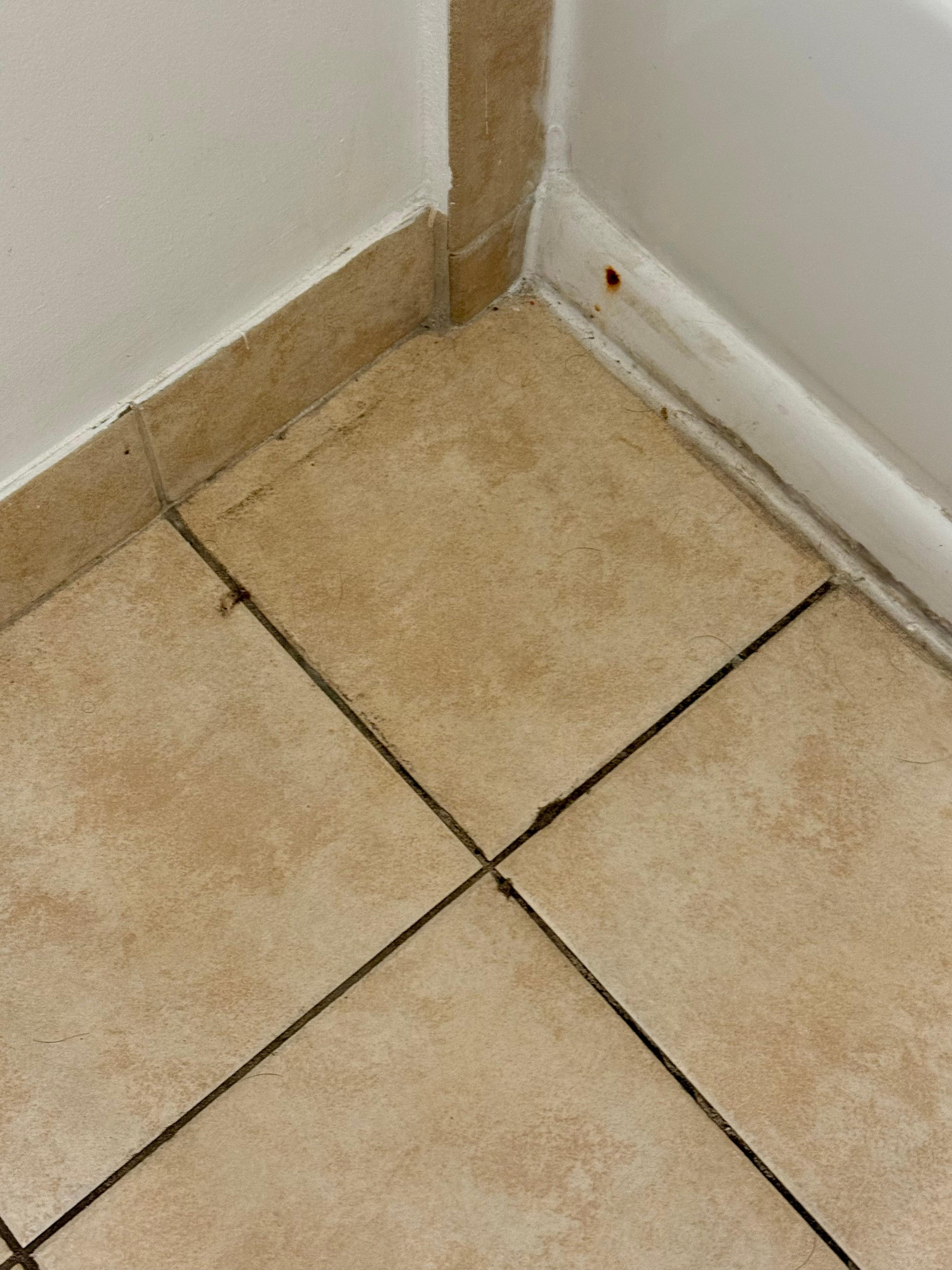 Dirty floors all around, I never went barefoot. 