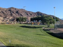 Bighorn sheep in the park!