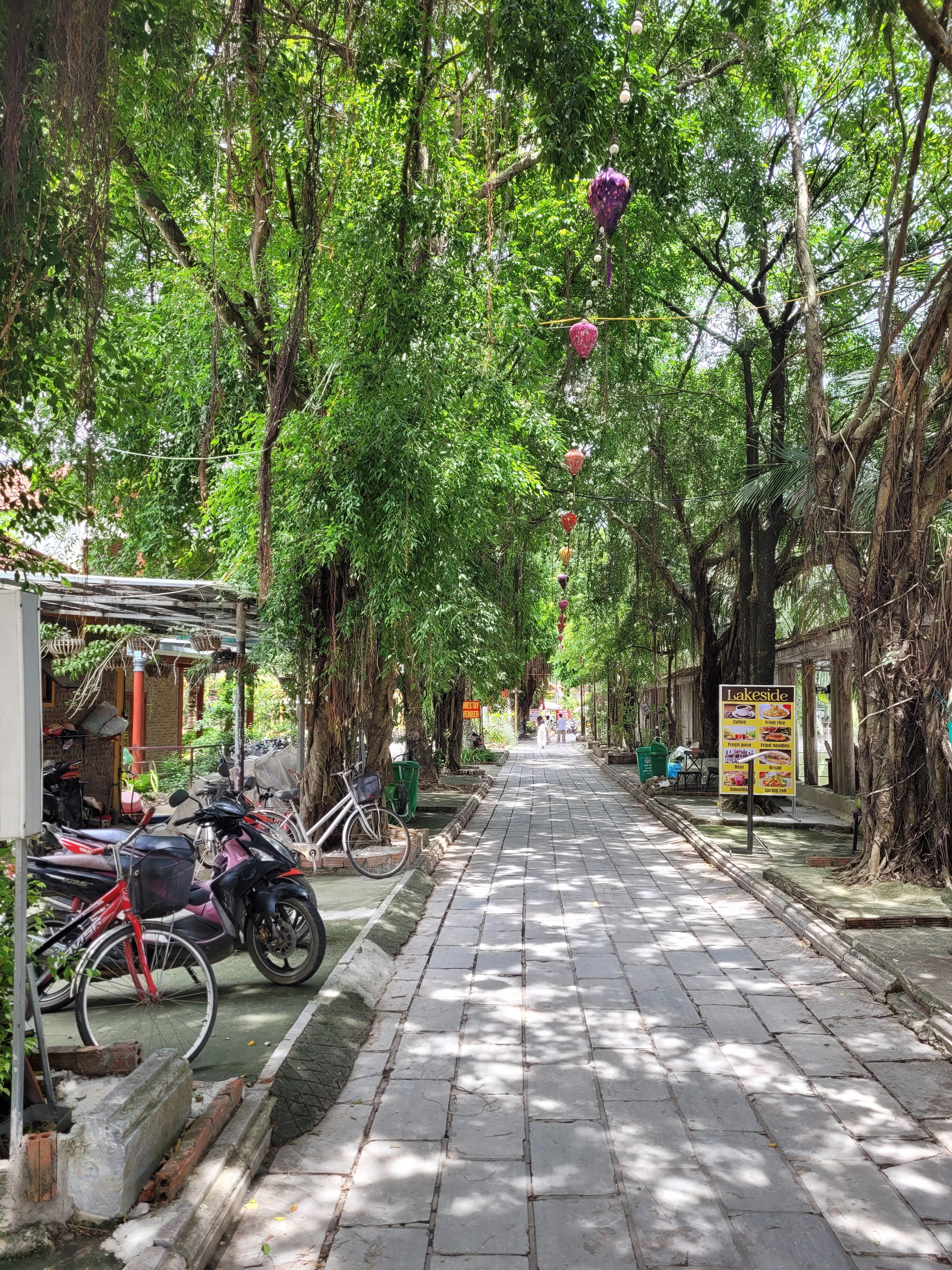 La petite rue où se situe le homestay