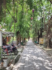 La petite rue où se situe le homestay