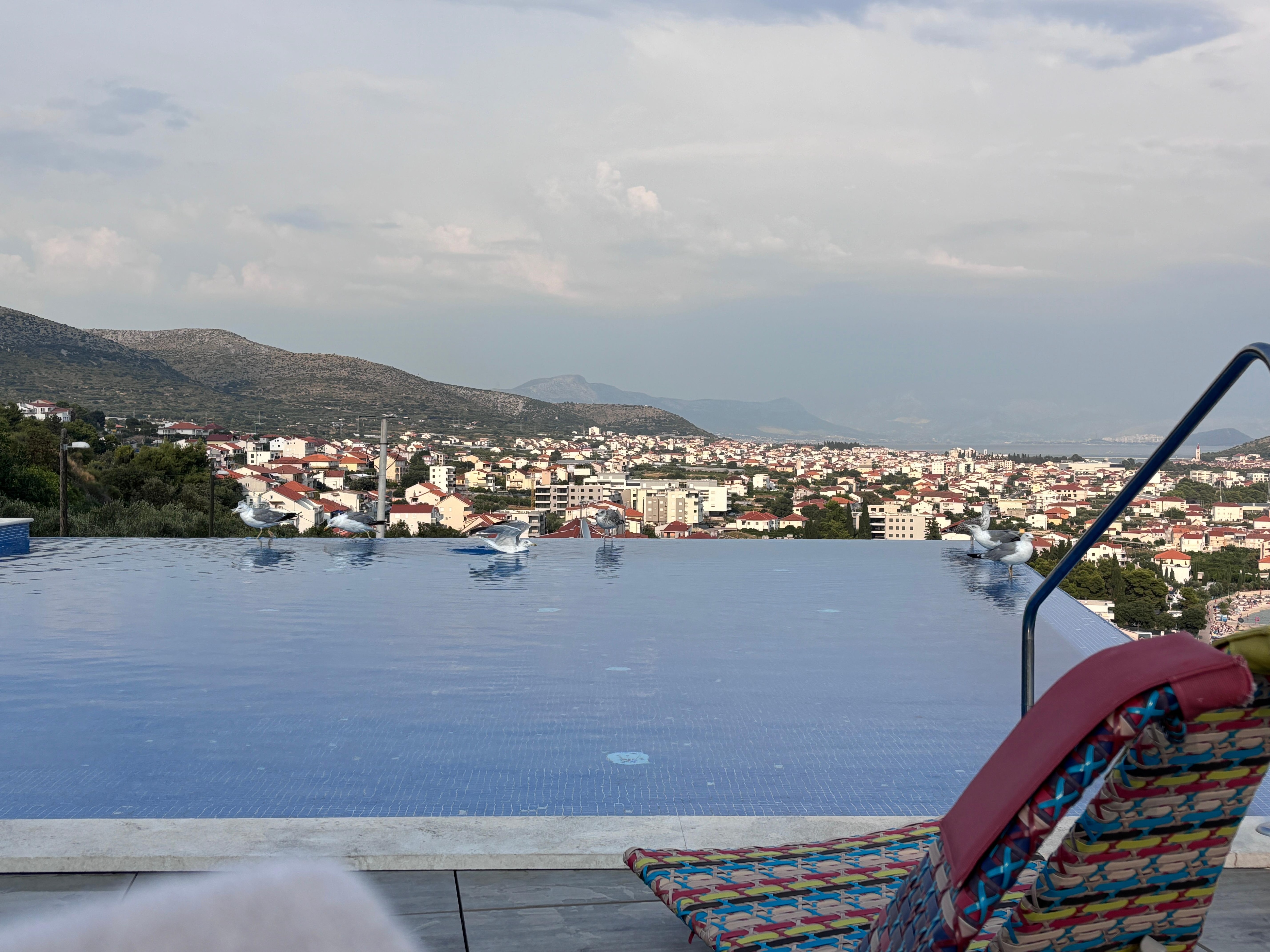 Bassengets gjester:) 