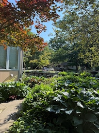 More Gardens