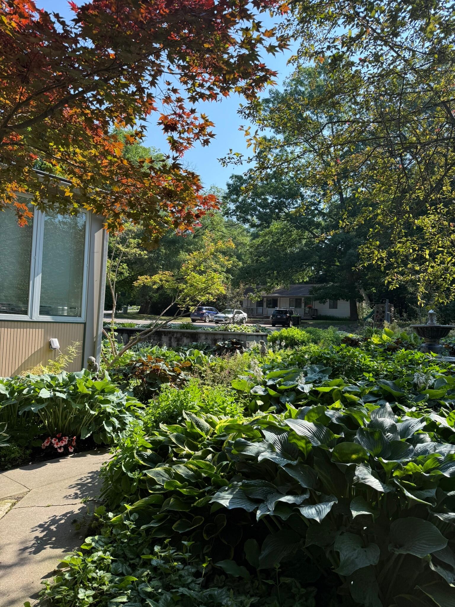 More Gardens