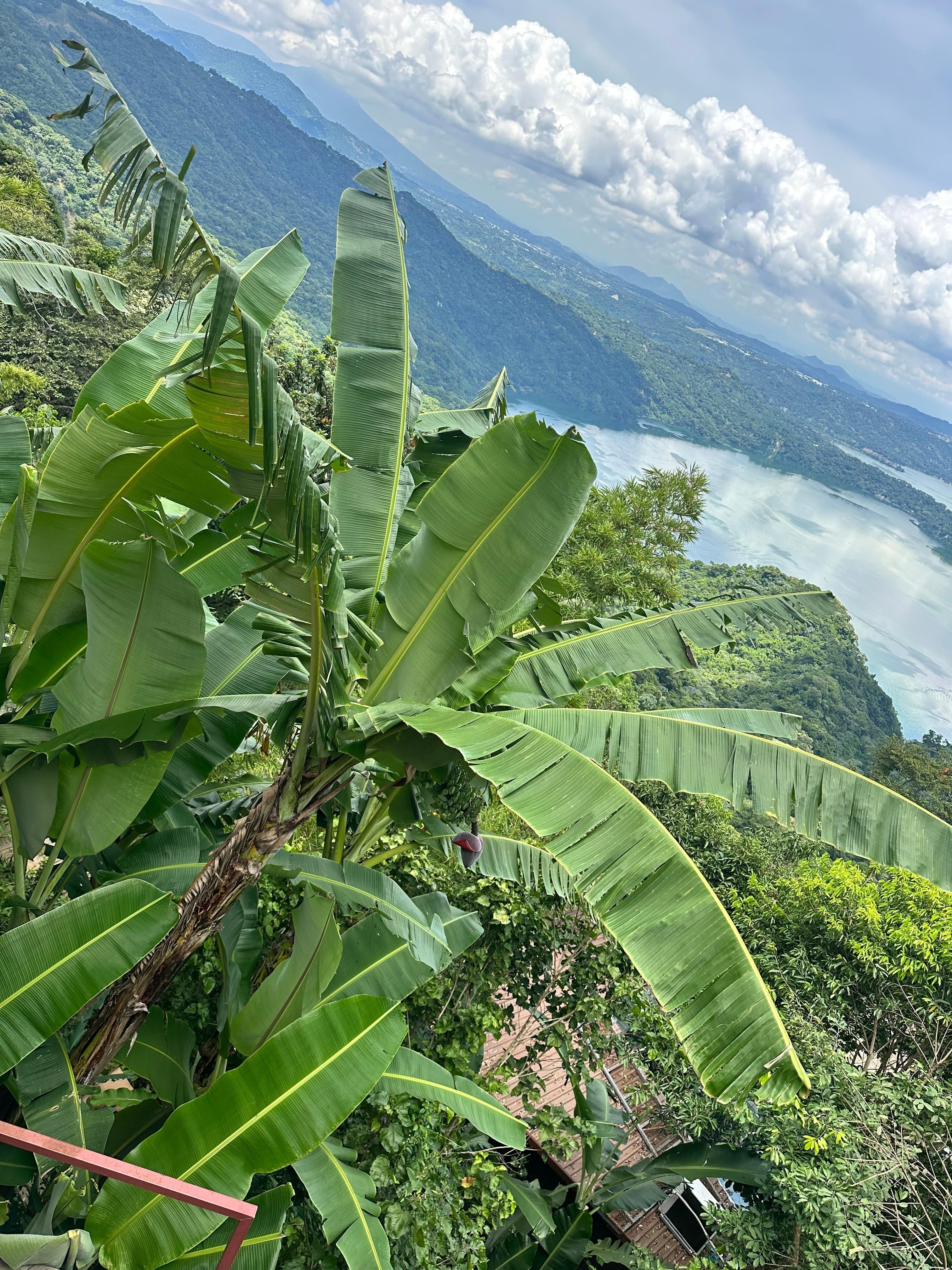 Lake view from a different overlook spot.