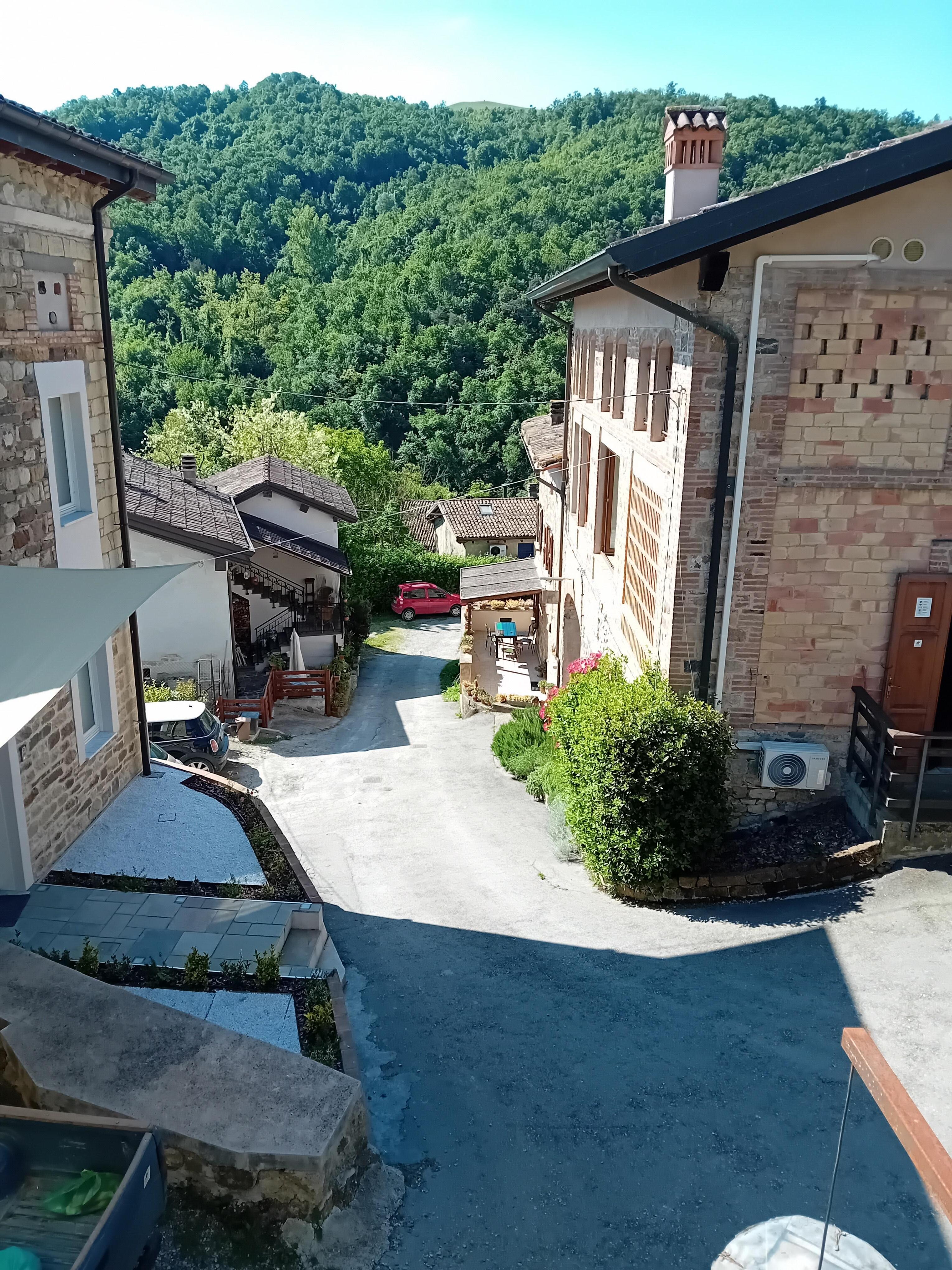 Vue depuis la terrasse