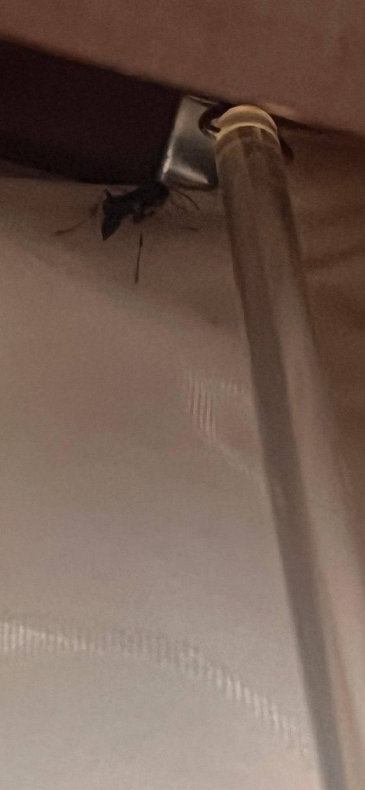 Found bug in room