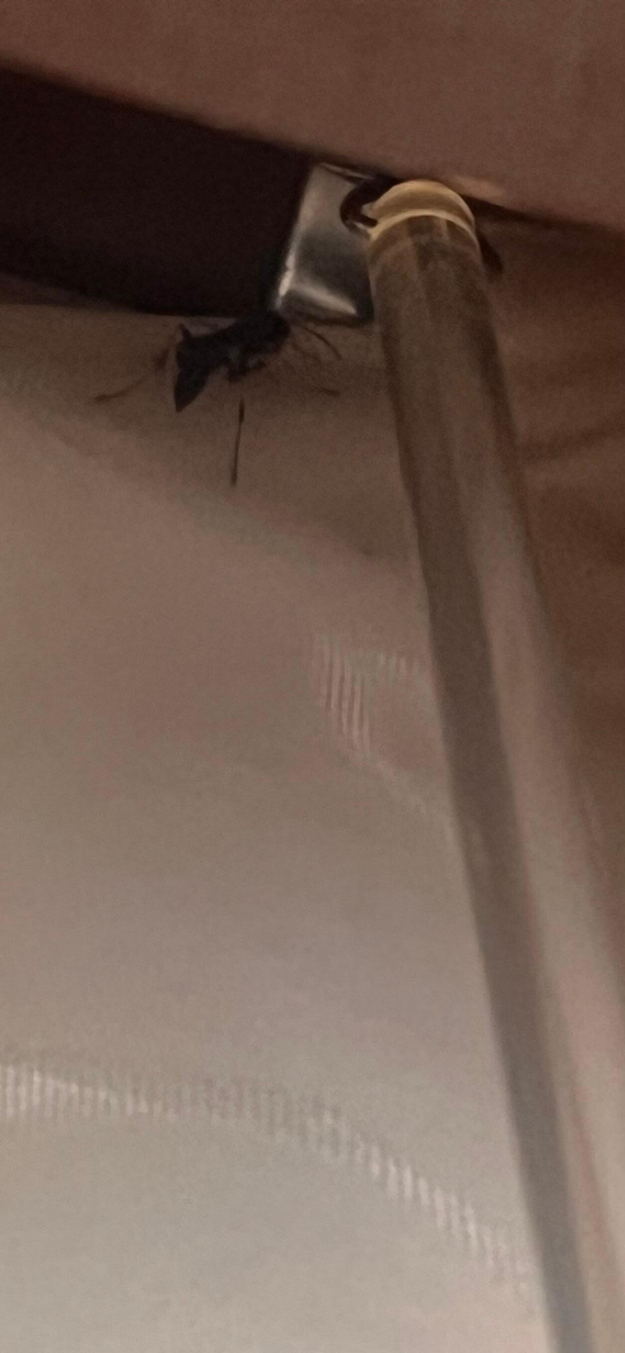 Found bug in room