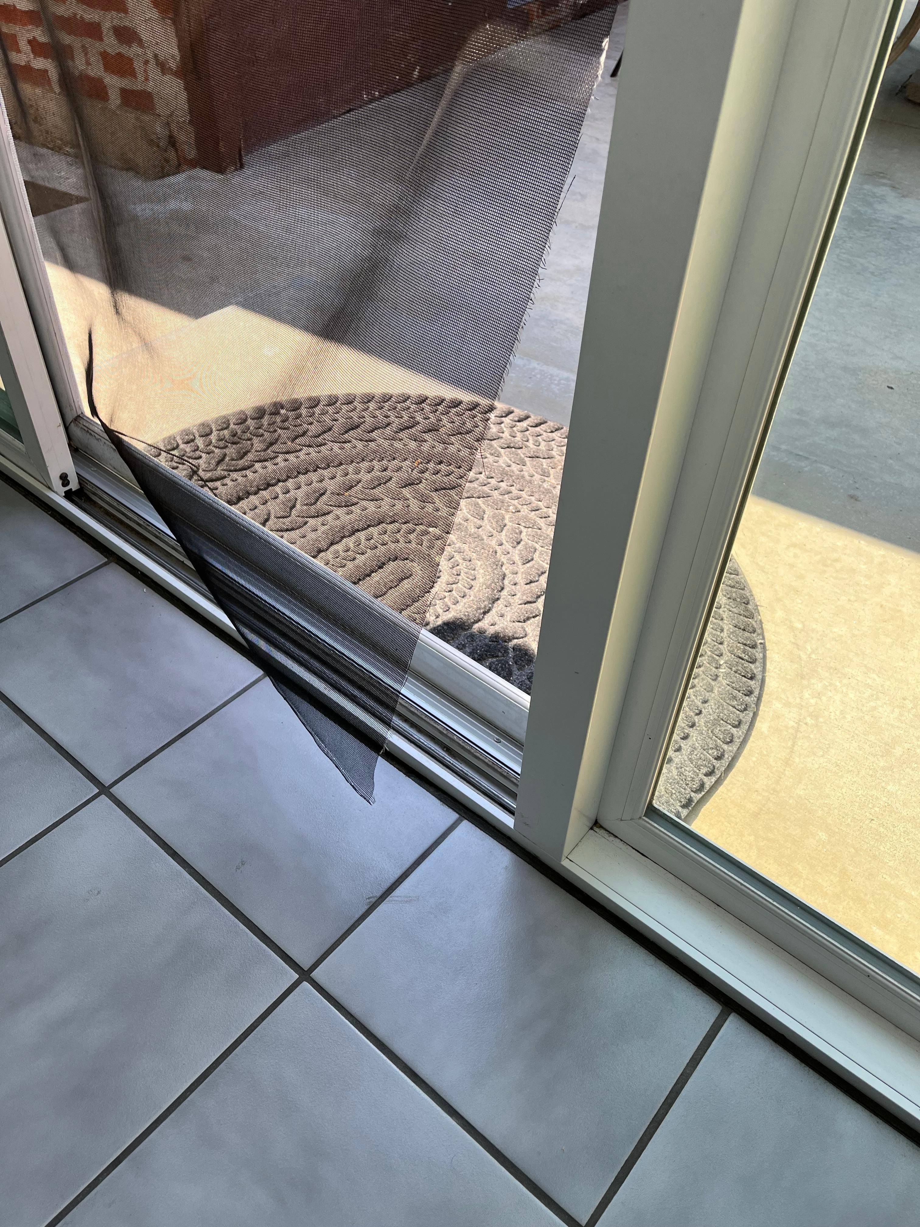 Back screen door