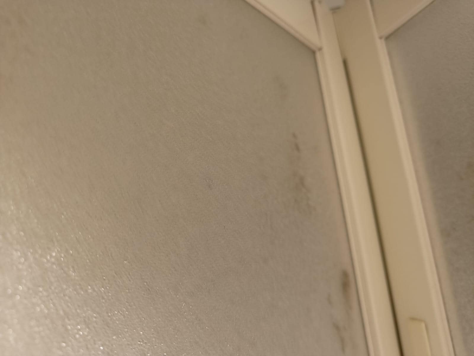 manchas en las puertas