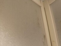 manchas en las puertas