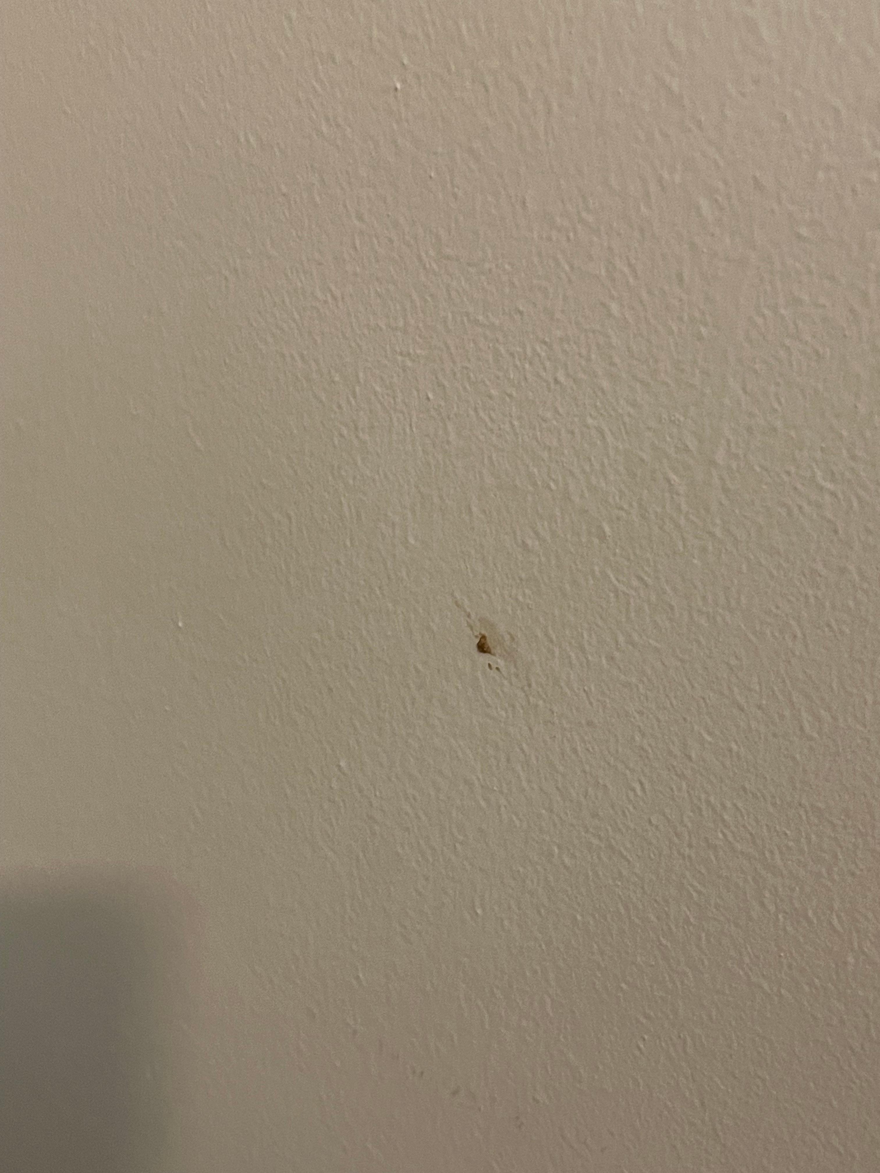 Snot wiped on the wall 