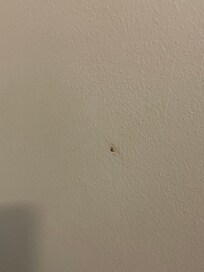 Snot wiped on the wall