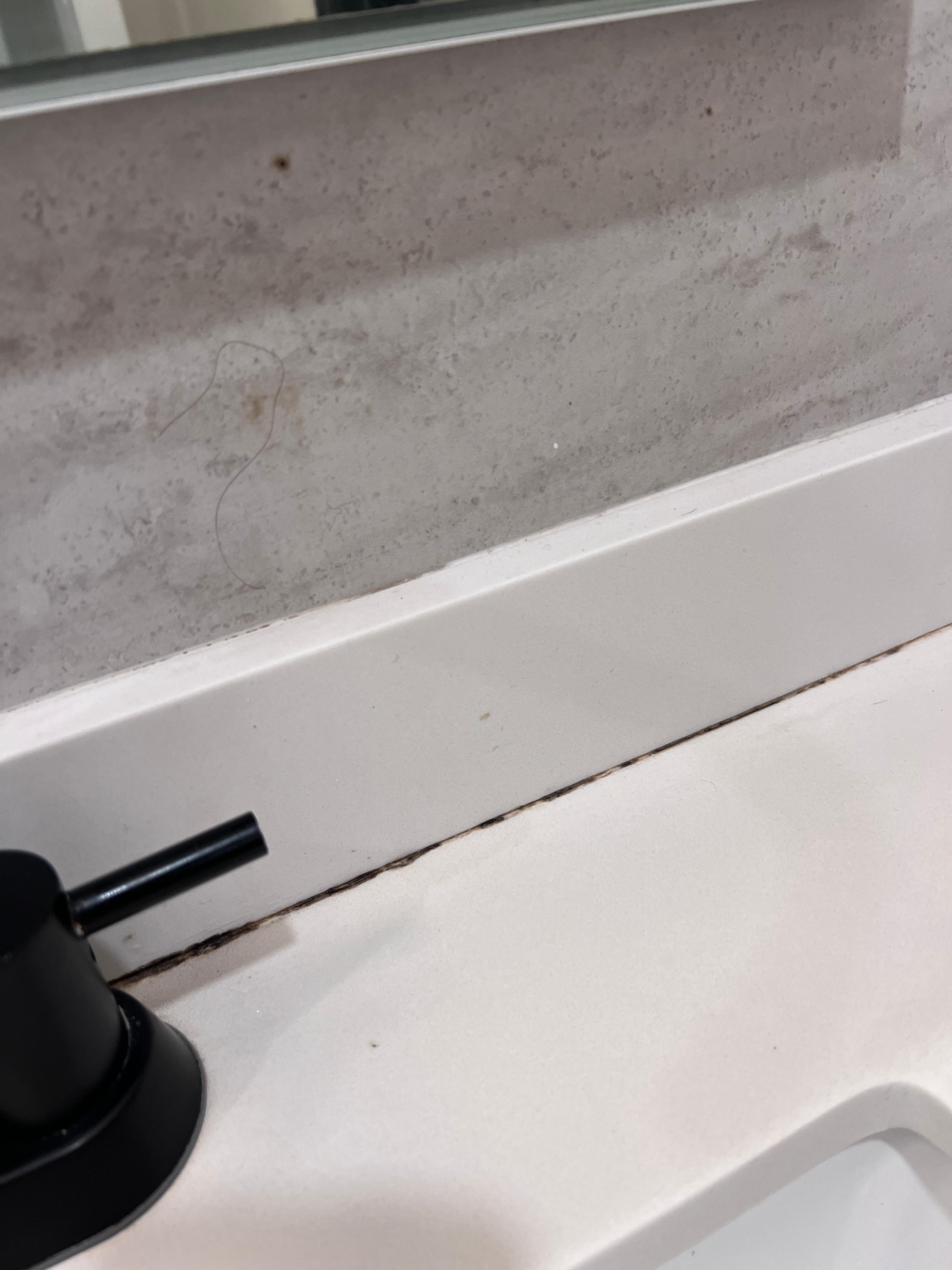 Mold and hair in the bathroom
