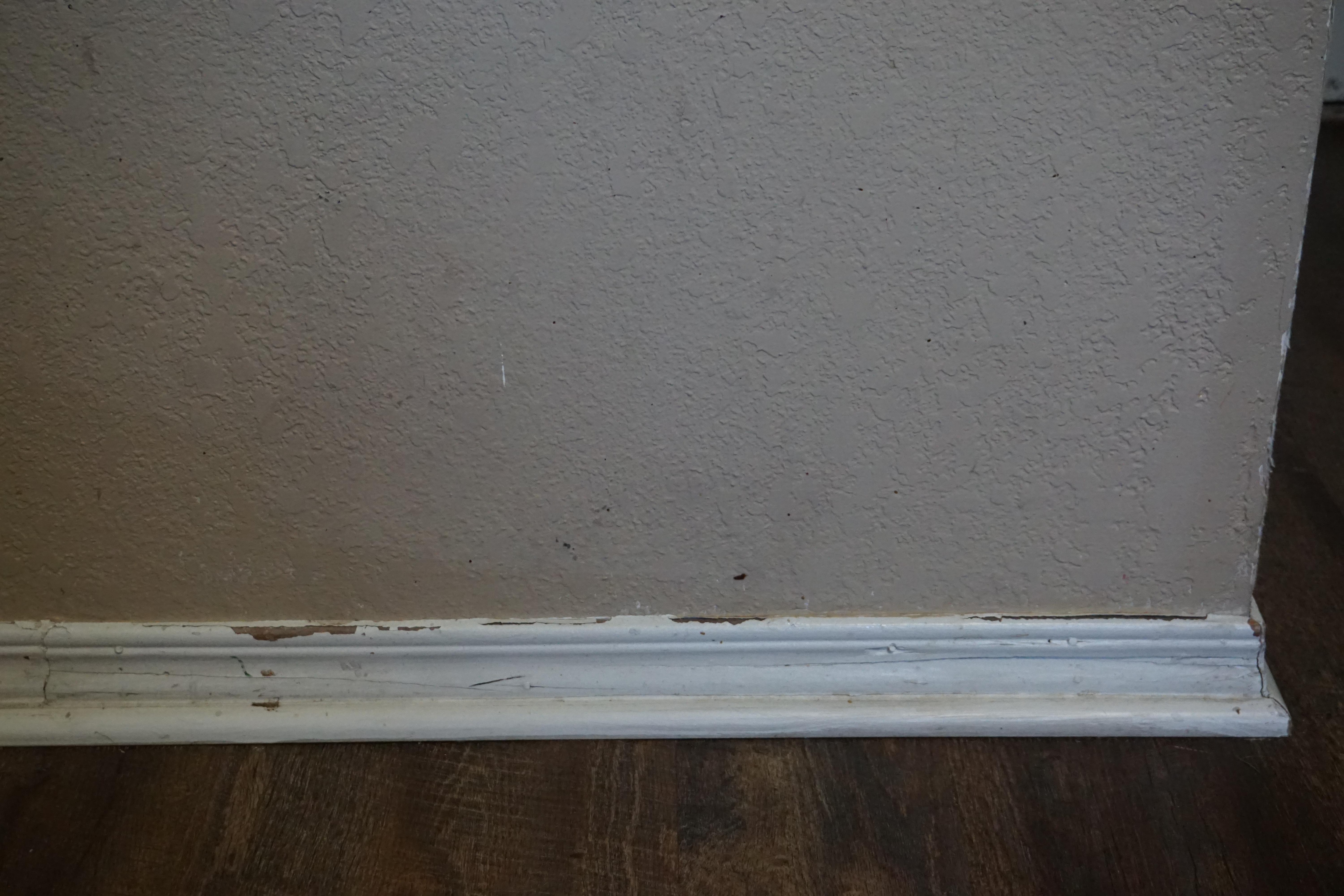 Dirty, unmaintained baseboards with stained walls.  Many more pics like this one.