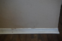 Dirty, unmaintained baseboards with stained walls. Many more pics like this one.