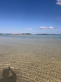 Calm water day in front of house