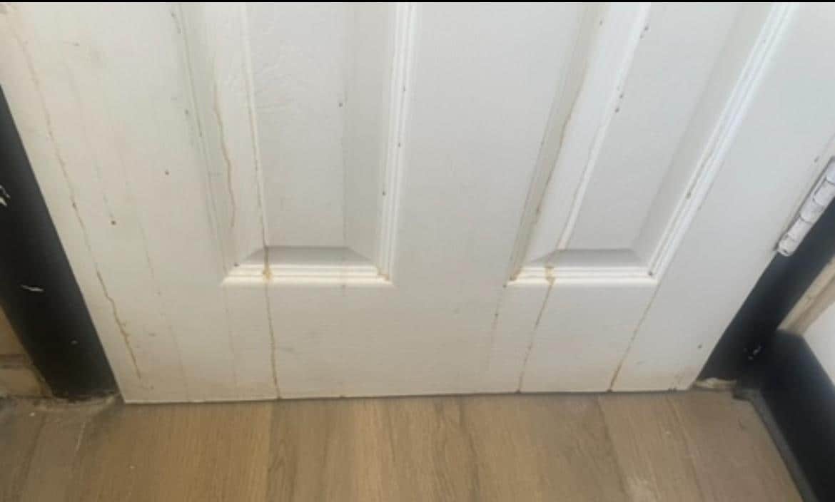 I have several more pics but can only upload 8…