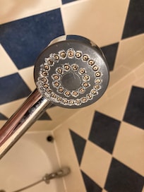 the shower head