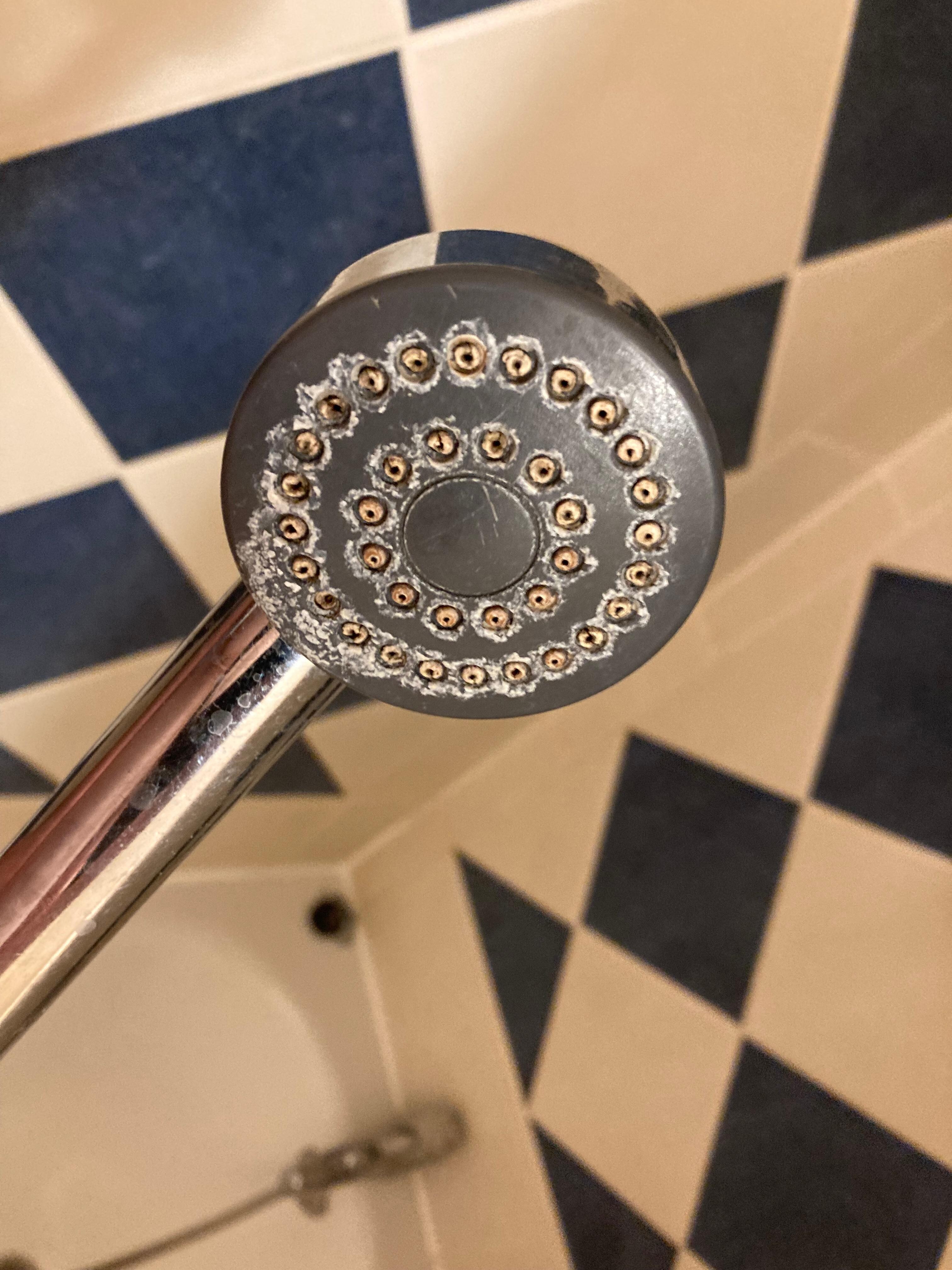 the shower head