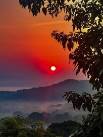 View from the patio in our private bungalo