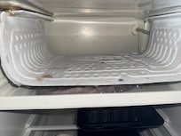 MOLD