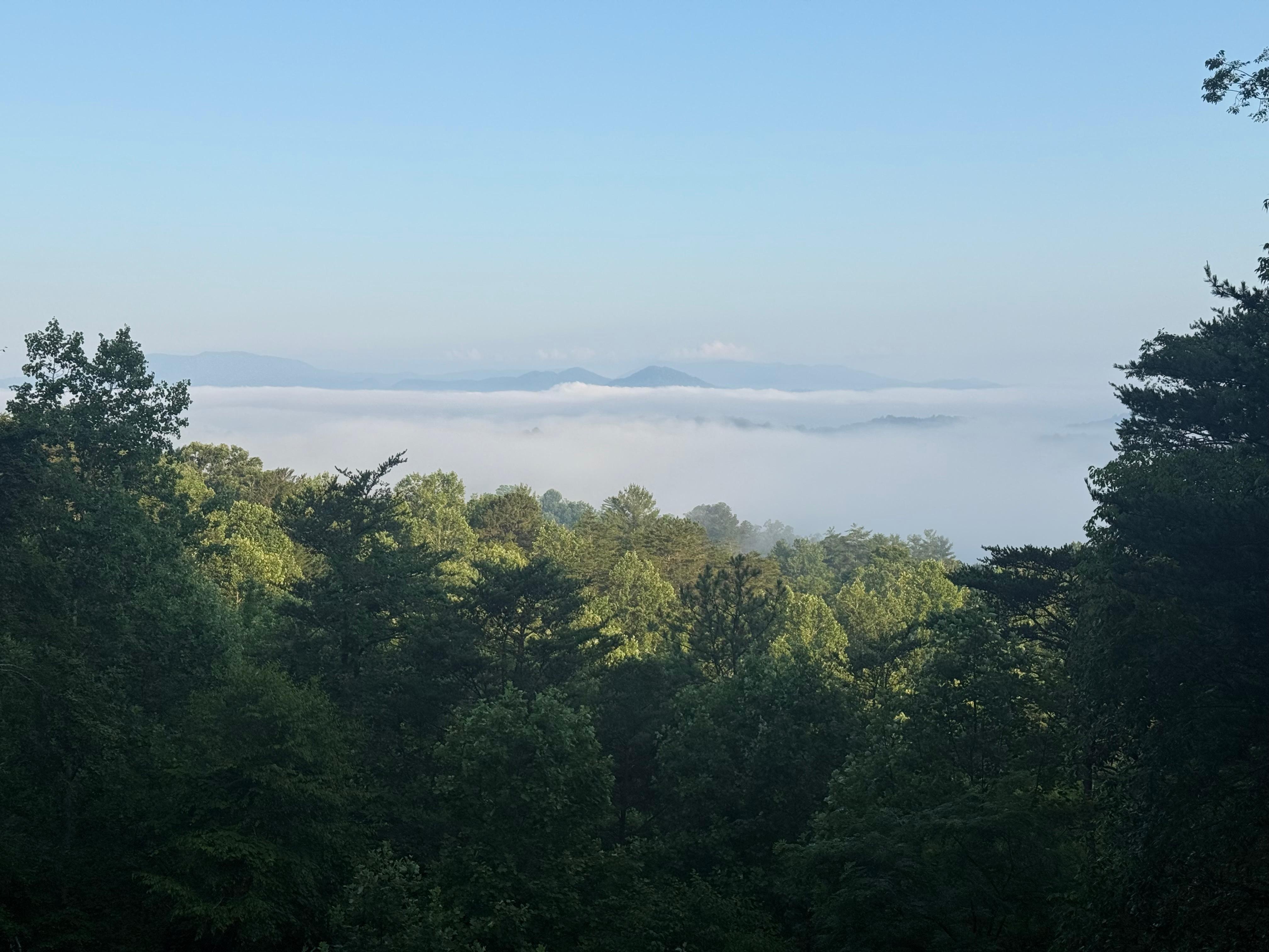 Morning view