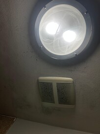 Appears to be mold on the ceiling of the bathroom and caulking on shower walls were the same way.