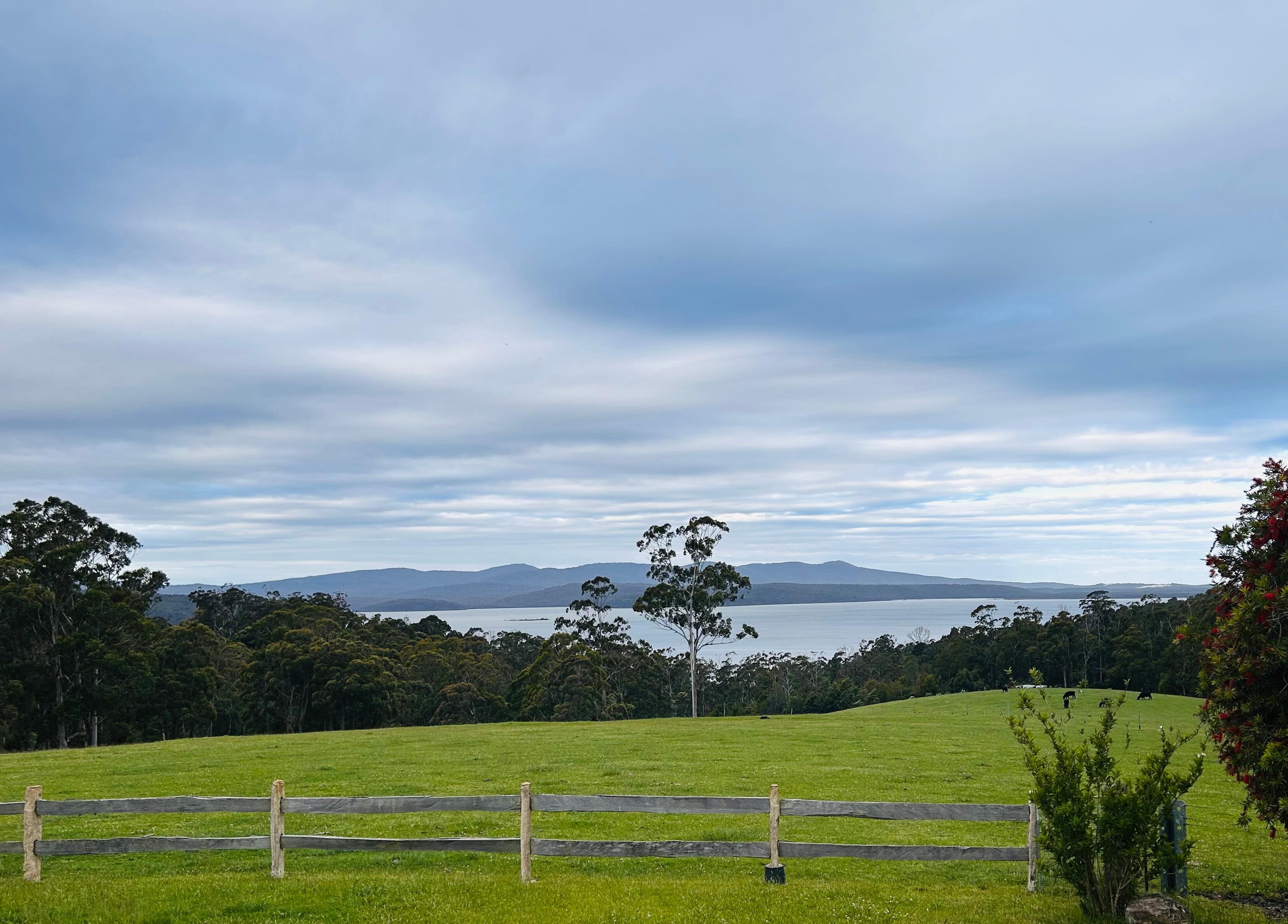 View from the gorgeous verandah