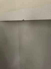 The ceiling had a chunk missing