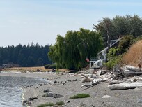 Beautiful beach and weeping willow in front of the studio.