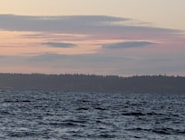 View from the house.