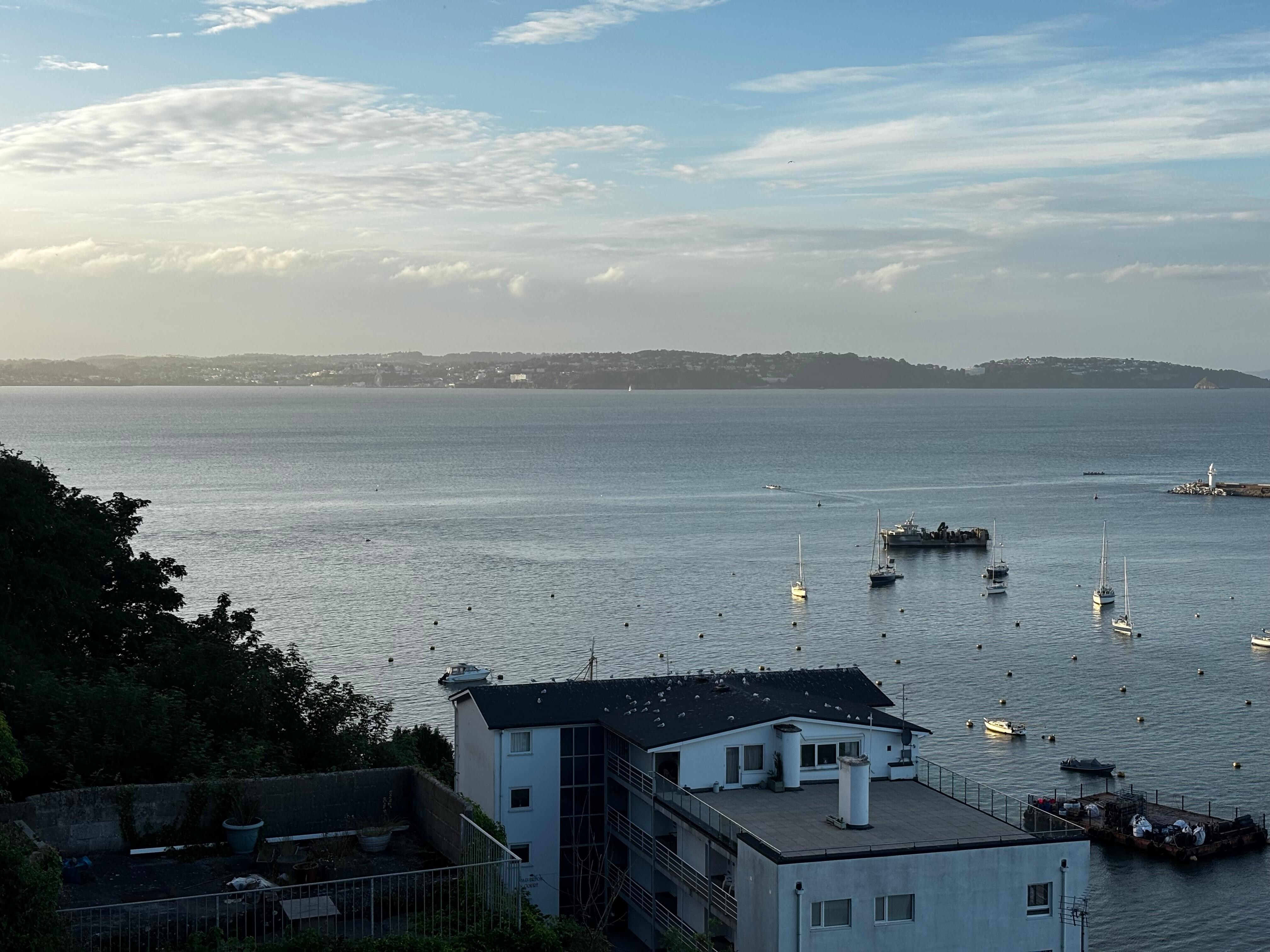View from patio