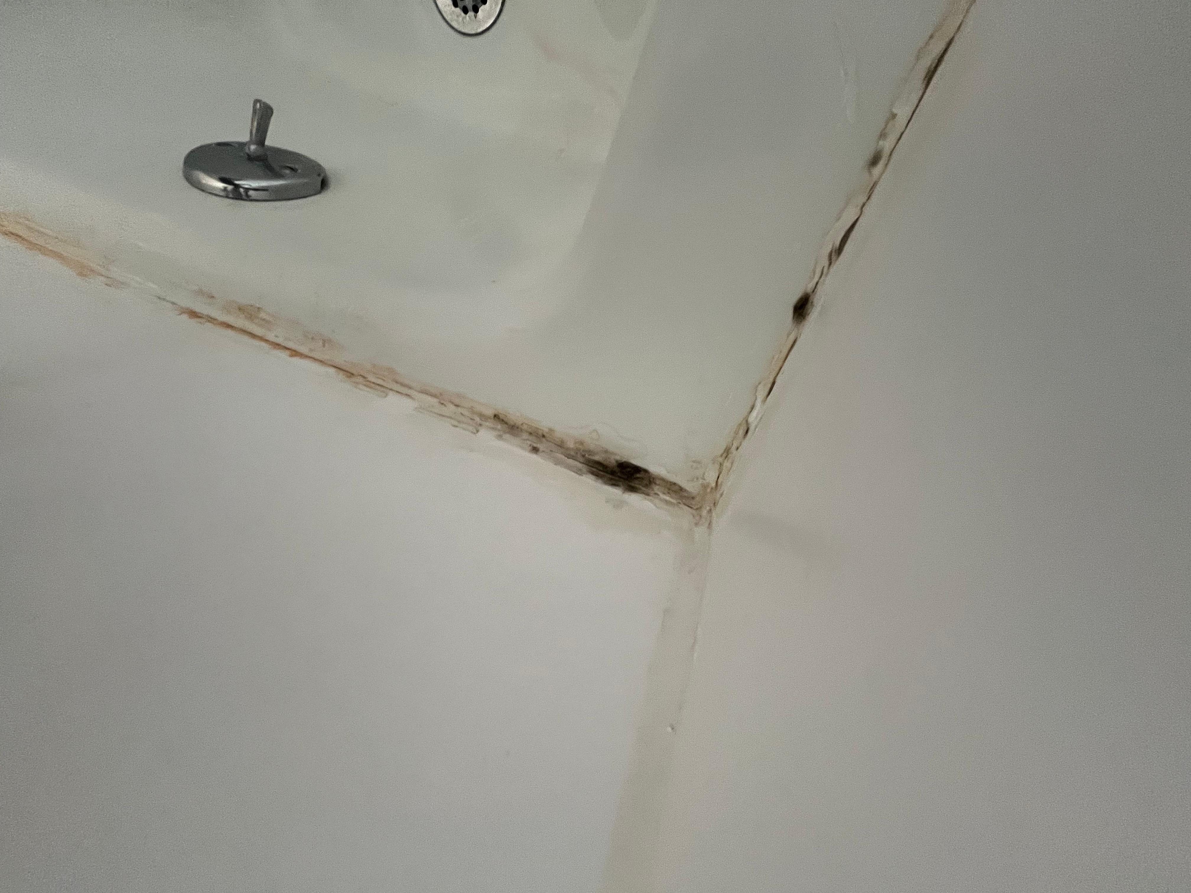 Mold in bathroom